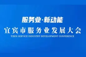 服务业 新动能丨东风再起 宜宾这个行业腾飞在即图片