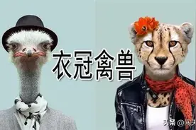 不敢相信，成语“衣冠禽兽”最早竟然是褒义词图片