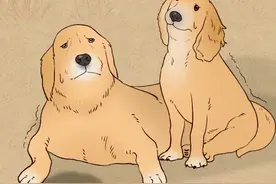 狗朝着没人的地方狂吠，是看到了什么「不干净」的东西吗？图片