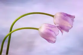 眼神的暧昧，比大胆示爱更令人着迷图片