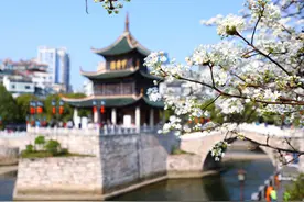 排名再升2位！南明区绿色发展何以跃居全国百强→图片