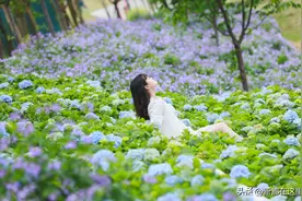 气温随机，也要与众不同~图片