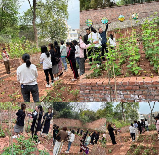 四川省民生研究会新媒体中心-官网