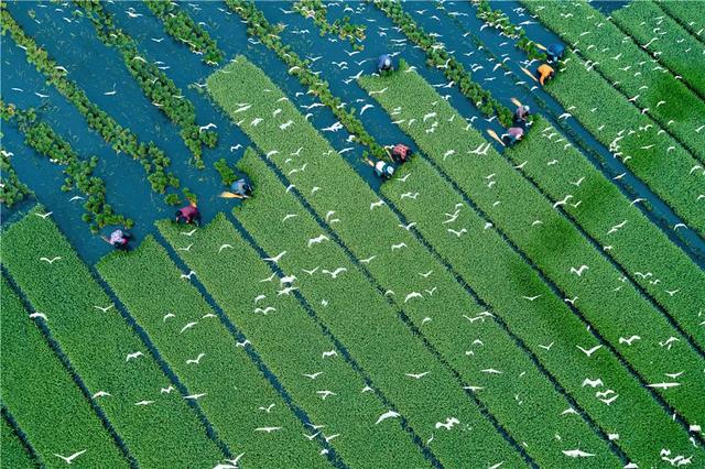 展讯 | 打开新时代美丽江苏建设的生动画卷——“美丽江苏”摄影大展开幕