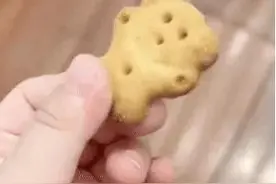 可爱搞笑的表情包：宝，给你我的小熊饼干图片