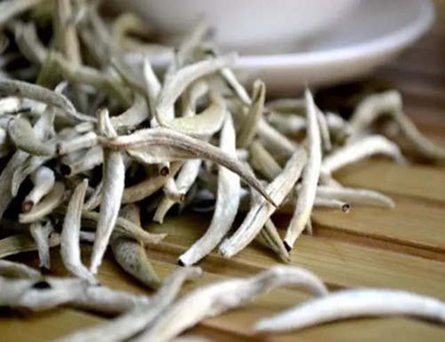 千万别小瞧了天天喝的茶，所有的树叶都能制茶吗？茶叶树叶的区别