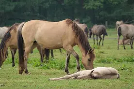 当别人冒犯或欺负你时，你会如何对付？懂谋略的高手是这样做的图片