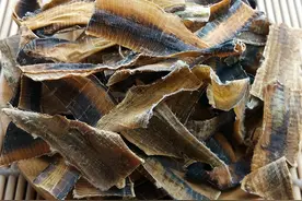 抗癌中药地龙，可活血化瘀、散结，还能抗癌图片