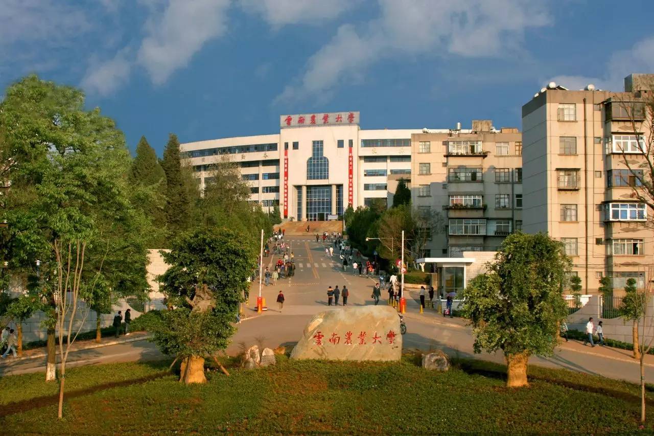 云南農業大學與西南林業大學對比_西南林業文科二本分數線_云南農業大學和西南林業大學哪個好