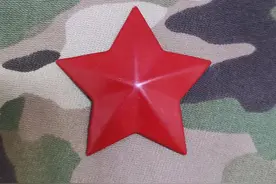 退役徽章欣赏（六五式）图片
