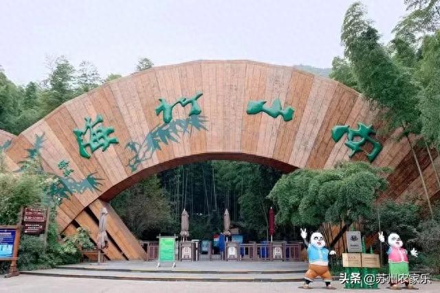 南山竹海攻略(南山竹海要玩几个小时)