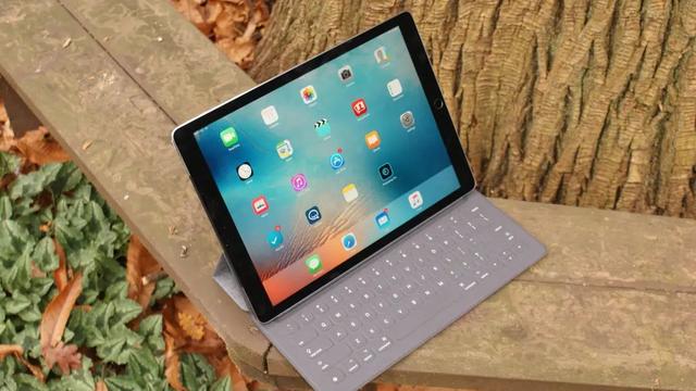12寸照片尺寸多少厘米，12寸是多少厘米（iPad 将成为的新产品线）