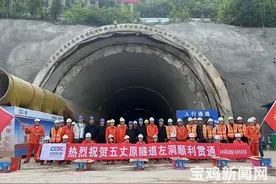 奋进的春天丨关环高速五丈原隧道左洞贯通图片
