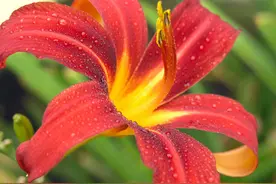 10月27日星座运势：锲而不舍，谦虚谨慎，尽善尽美图片