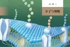 【知识梳理】高中生物新教材必修1核心概念全归纳（一）图片