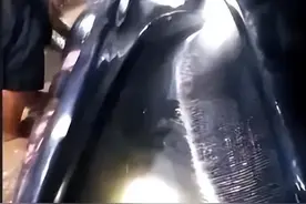 鲸鱼被台风泰利冲上岸，疑似鲸须，什么时候形成会形成“鲸爆”？图片