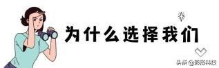 什么是SEO /搜索引擎优化?