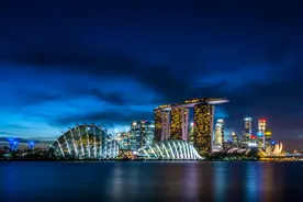 华人揭露新加坡最真实一面：印度人口蹿升，华人就业难图片