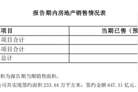开启割肉模式 首开在京地产项目后劲不足？图片