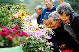 重阳节，有三大风俗，你知道几个图片