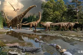 地球上曾有过上千亿人，所以泥土就是由腐尸构成的？不是图片