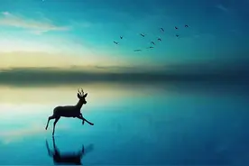 心语心情 日子可以每天都过得一样，也可以每天都过得不一样图片