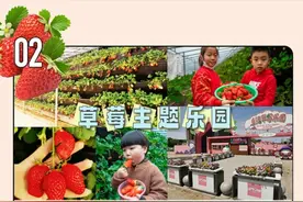 共享“莓”好时光 | 乡缦草莓乐园：主题式田园综合体 亲子郊游“打卡地”图片