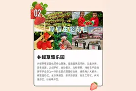 共享“莓”好时光 | 乡缦草莓乐园：主题式田园综合体 亲子郊游“打卡地”图片
