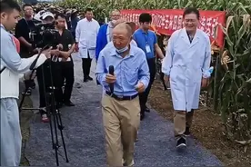 专家踩地毯考察玉米地？专家：并非地毯，是雨后防滑铺的土工布图片