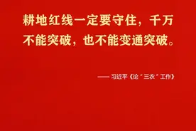 关于耕地保护，这些金句要牢记①图片