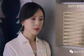 《她的城》利用姜楠，设计谢长江，逼退婉莹！艾英的反击大获全胜图片