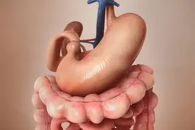 护理篇-全胃切除术后1-2周及终身的饮食指导图片