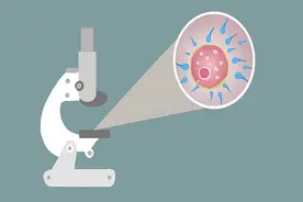 一滴精十滴血？精尽人亡？真的假的？关于精子的知识，男性需了解图片