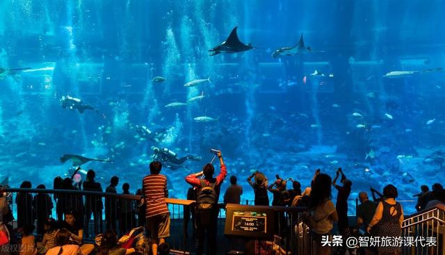 �����ŵ�20����֪ʶ�������˽��������ŵ�