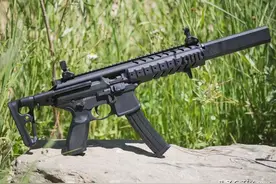 在美国民间最受欢迎的25种民用枪图片