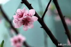 要知道，人来到世间，只为了还这几种“债”，这是你的因果图片