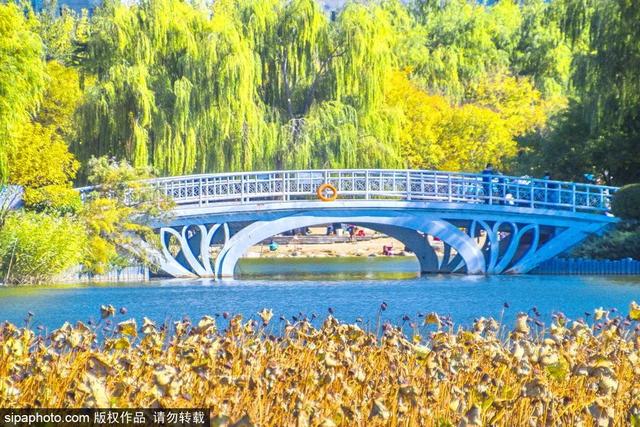 京郊十条醉美公路③ | 到这4条公路沿线游古村 品农家宴 赏田园风光