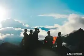 老战友20年后武汉再相聚，跟着他们一起见证武汉之美，战友情之深图片