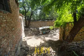 济南这一荒废古村变身网红村落，很多人去寻找儿时回忆图片