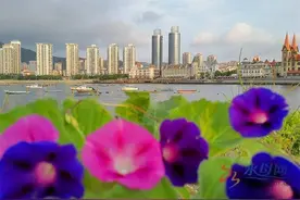 烟台崆峒胜境、凤凰湖获批省级城市更新试点片区图片