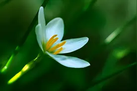 家中亲人过世时，你要知道：遗物四不留，留下害子孙图片