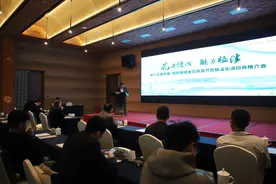 高淳桠溪举办“花开慢城·魅力桠溪”金花旅游节暨招商推介会图片