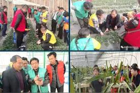为什么要考农作物植保员？哪些人能使用？看完您就知道了图片
