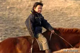 飙升9.7，看哭几万人，这片半夜给我一击重捶图片