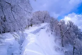 雪的最美诗词，太经典了图片