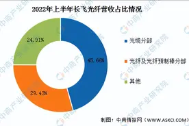 2023年中国光纤光缆行业市场前景及投资研究报告（简版）图片