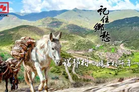 云南诺邓村：稳扎稳打造就千年一味图片