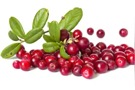 蔓越莓有哪些功效和作用？图片