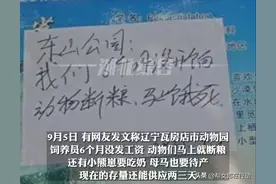 动物园饲养员半年未发工资，“小熊崽要吃奶、母马待产”，官方：正协调拨付资金图片