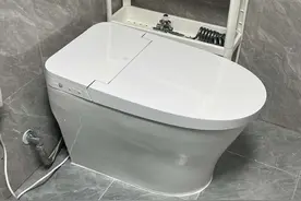 不惧停电也能冲水的性价比智能马桶999元，冲鸭图片